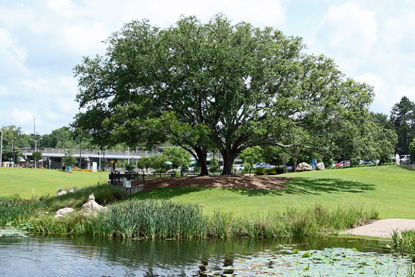 stormwater landscaping 2